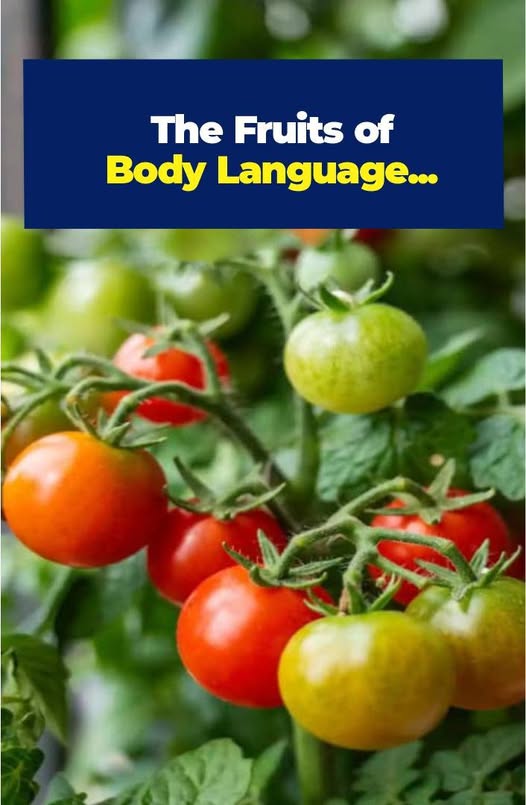 Body Language
